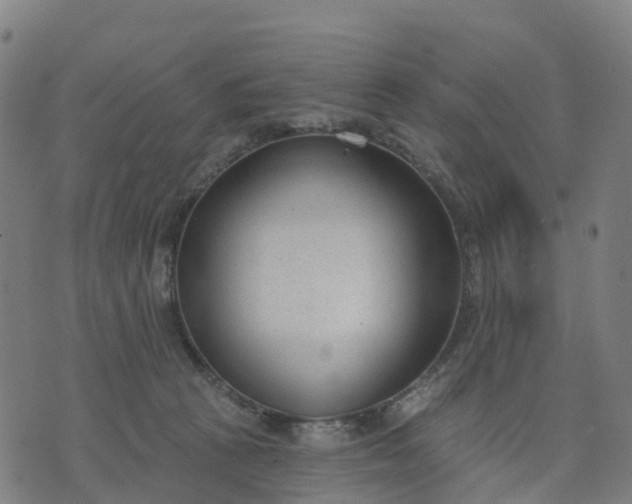 X0000074240273200609081653