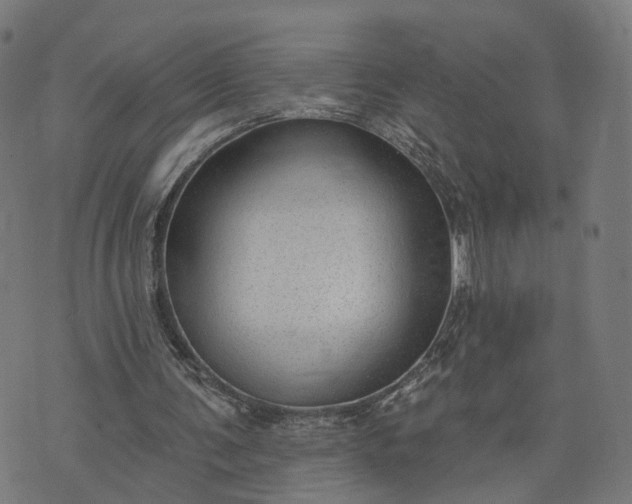 X0000074240291200609081653
