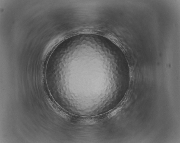 X0000074240293200609081653