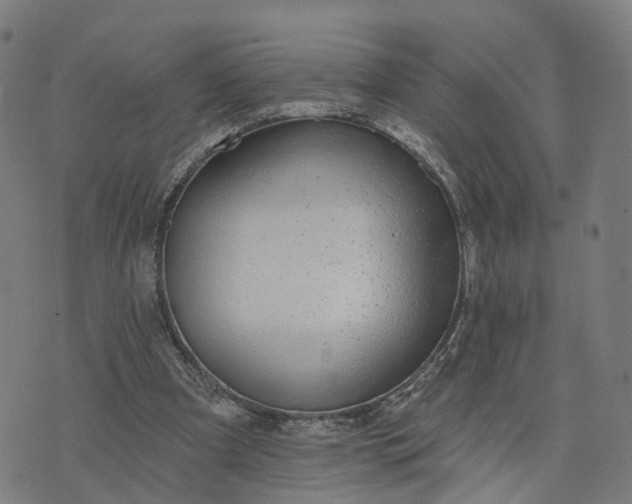 X0000074240297200609081653