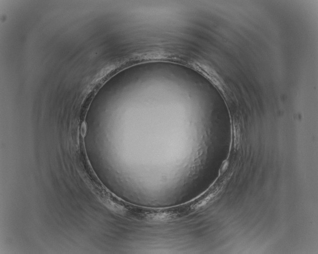 X0000074240301200609081653