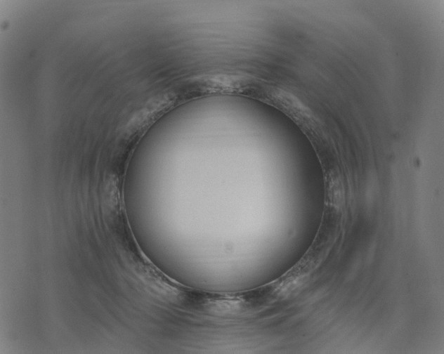 X0000074240318200609081652