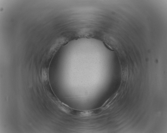 X0000074240335200609081652
