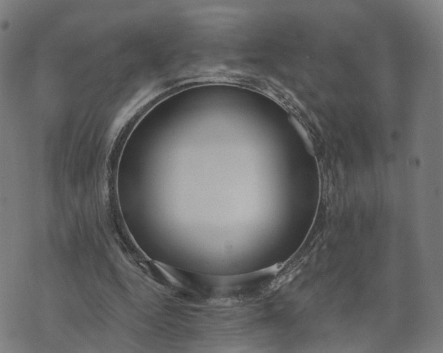 X0000074240344200609081651