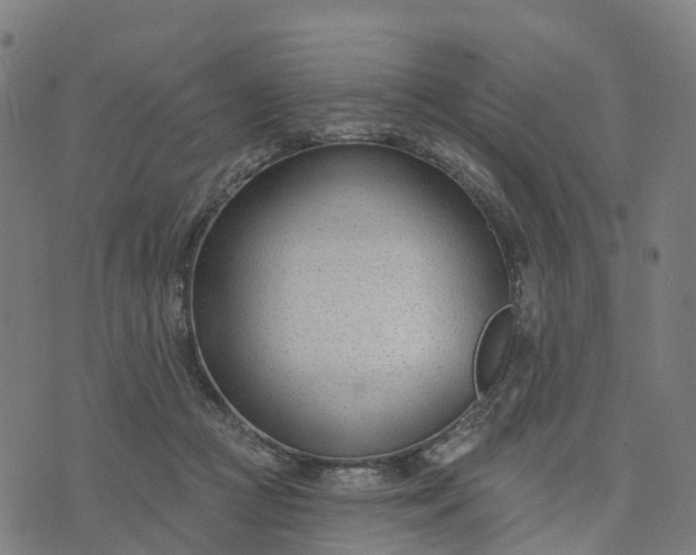 X0000074240361200609081652
