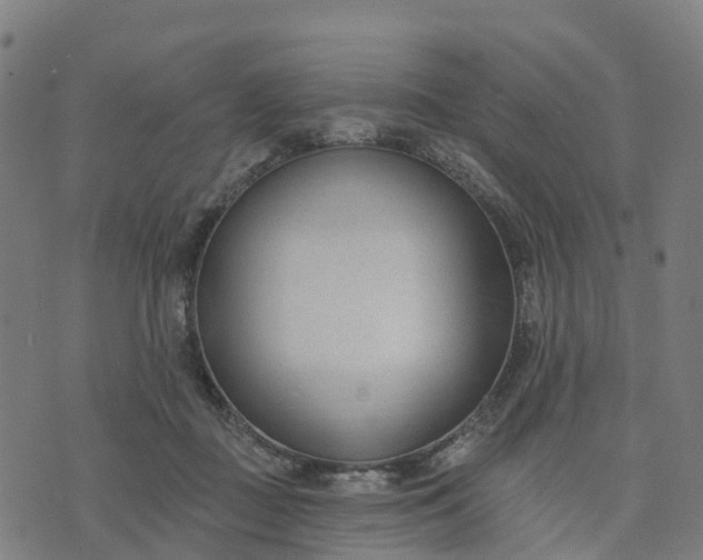 X0000074240363200609081652