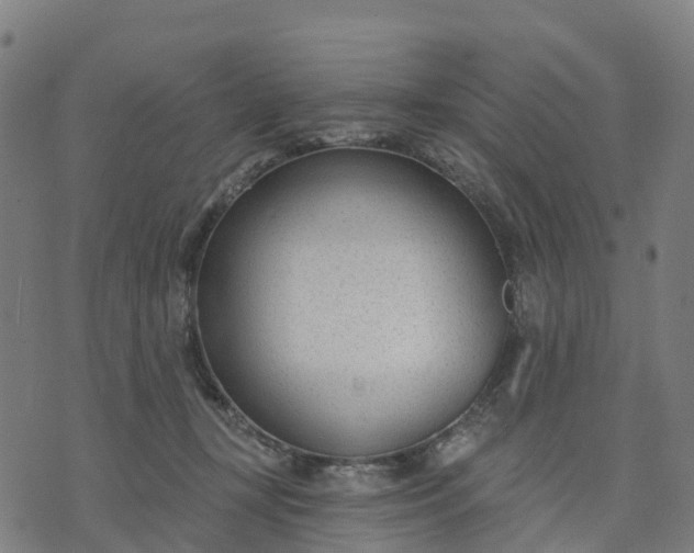 X0000074240367200609081652