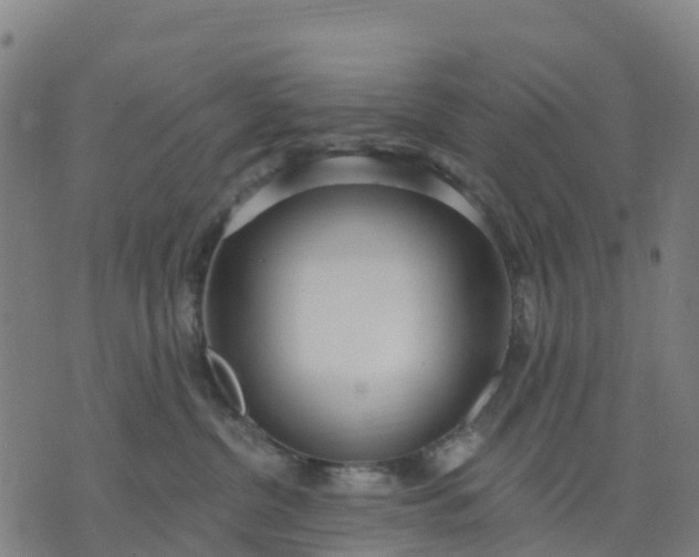 X0000074240380200609081652