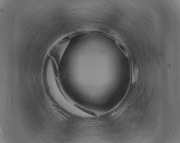 X0000074240387200609081651
