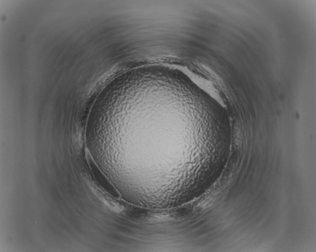 X0000074240405200609081651
