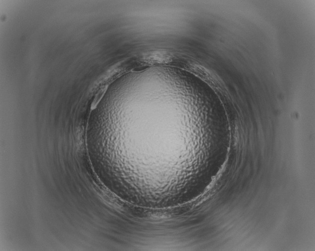 X0000074240409200609081651