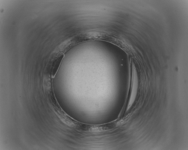 X0000074240413200609081651