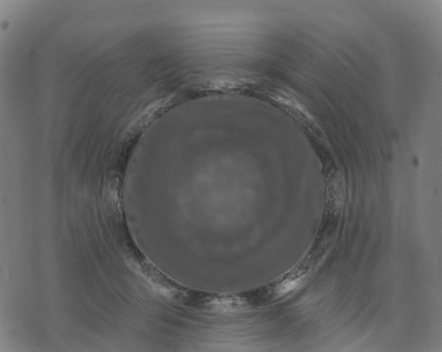 X0000074240415200609081651