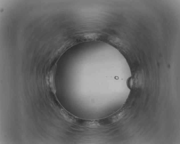 X0000074240424200609081651