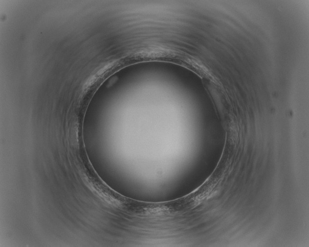 X0000074240446200609081650