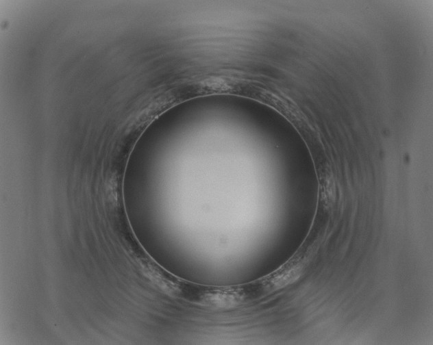X0000074240466200609081650