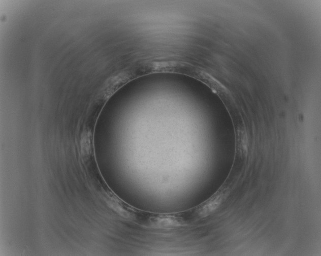 X0000074240475200609081650
