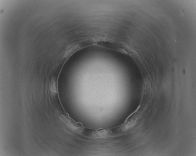 X0000074240479200609081650