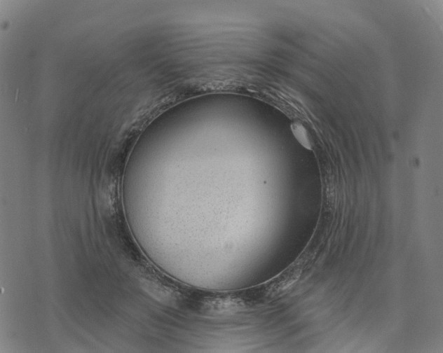 X0000074240503200609081649