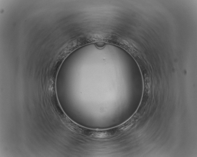 X0000074240507200609081649