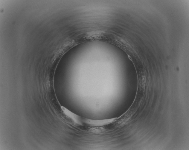 X0000074240508200609081649
