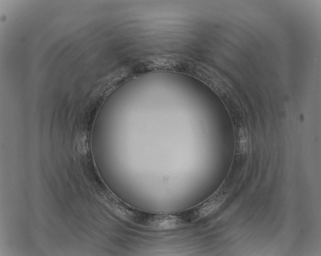 X0000074240514200609081649