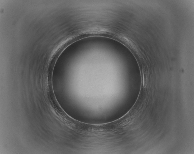 X0000074240531200609081648