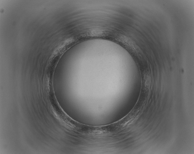 X0000074240542200609081648