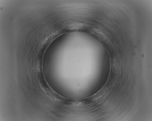 X0000074240547200609081648