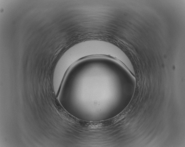X0000074240560200609081649