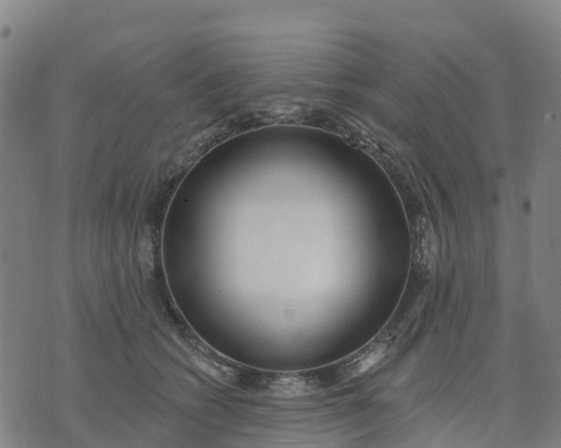 X0000074240562200609081649