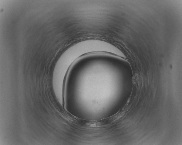 X0000074240564200609081649