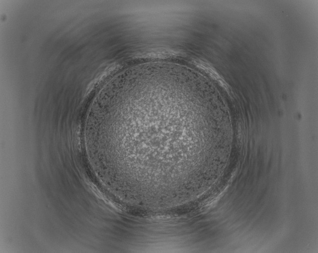 X0000074240585200609081648