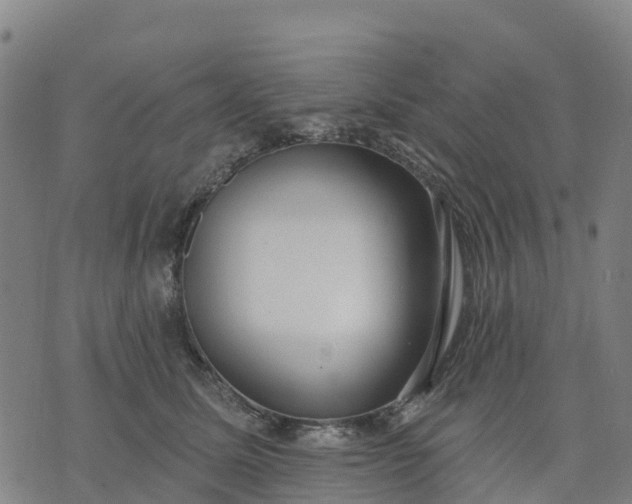 X0000074240611200609081648