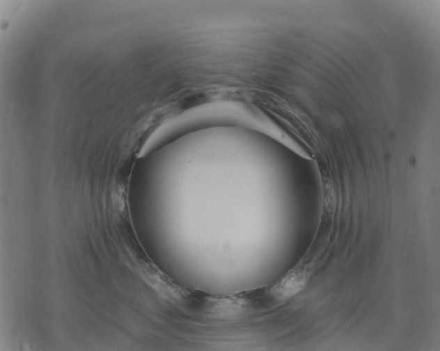 X0000074240621200609081647