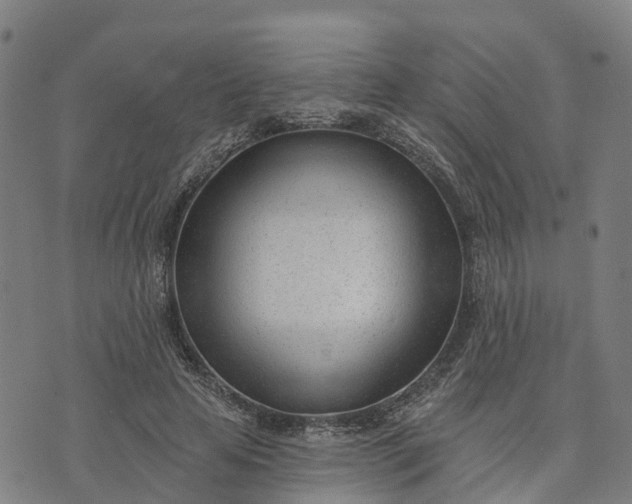 X0000074240641200609081647