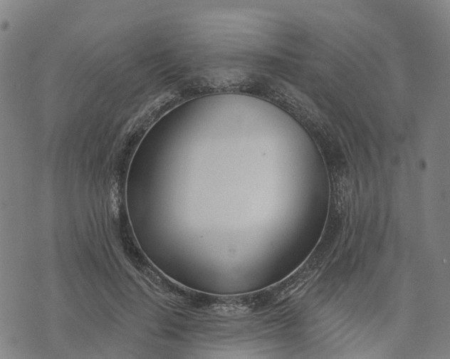 X0000074240644200609081647