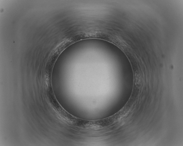 X0000074240648200609081647