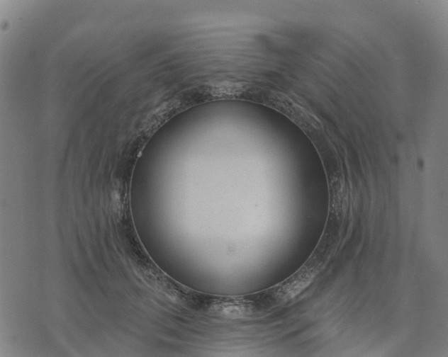 X0000074240655200609081647