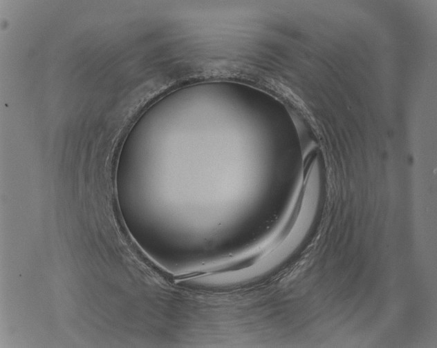X0000074240673200609081647
