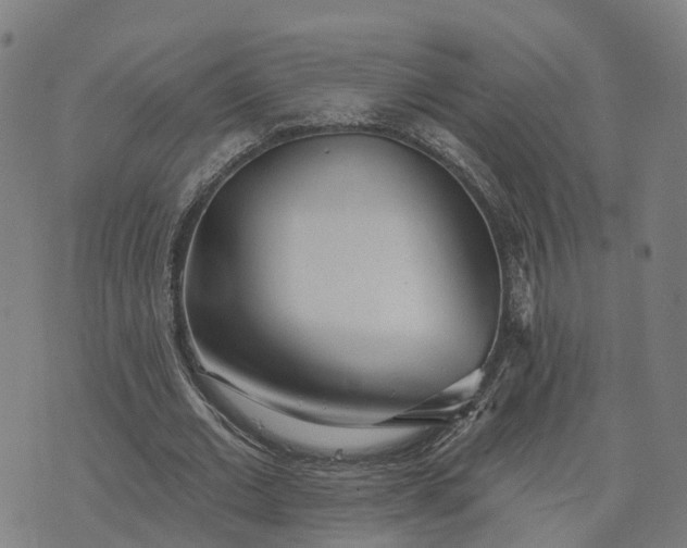 X0000074240677200609081647