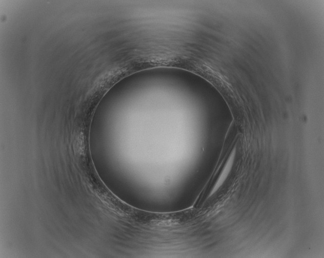 X0000074240689200609081646