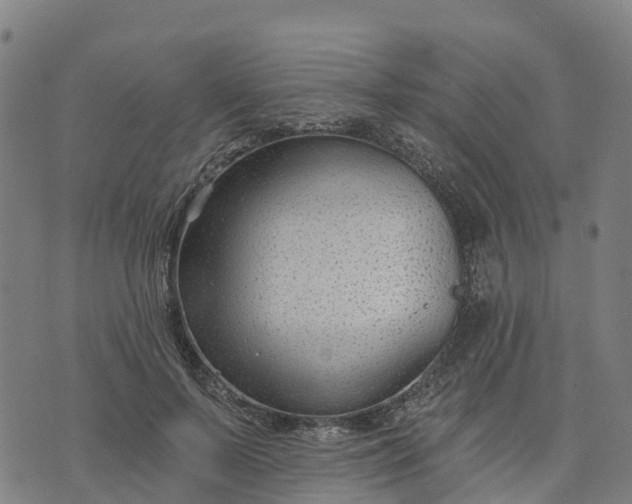 X0000074240695200609081646