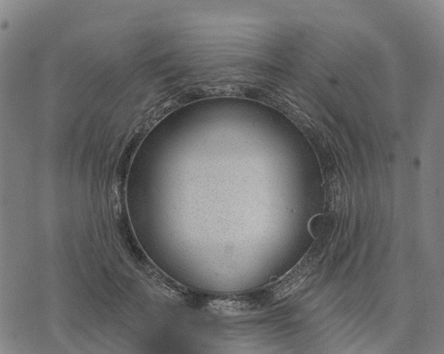 X0000074240699200609081646