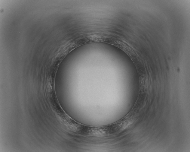 X0000074240702200609081646