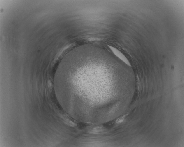 X0000074240716200609081646