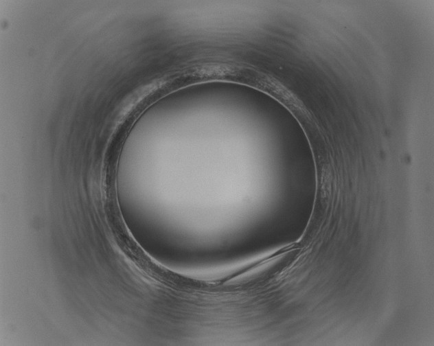 X0000074240722200609081645