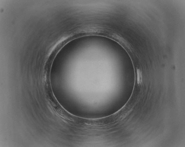 X0000074240723200609081645