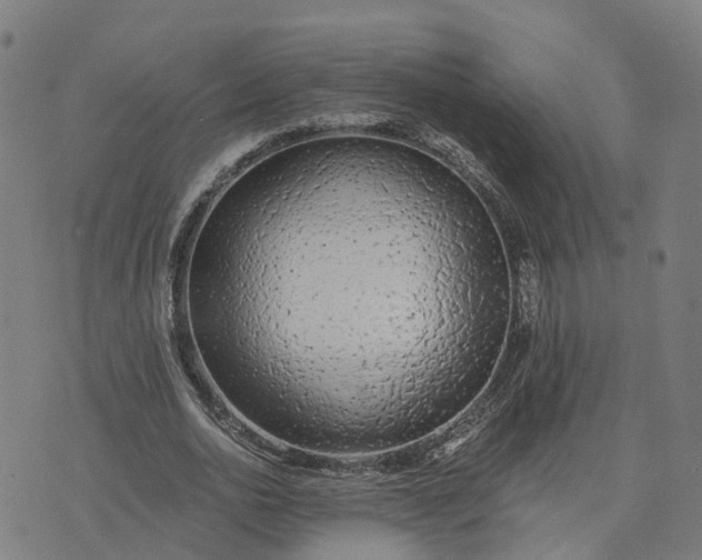 X0000074240726200609081645