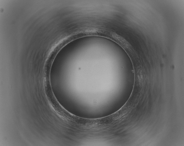 X0000074240728200609081645